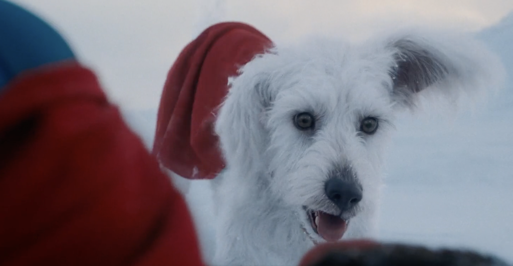 Krypto - Superman 2025