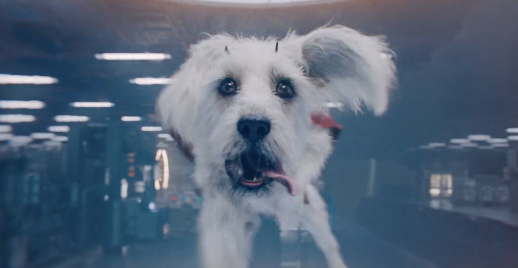 Krypto - Superman 2025